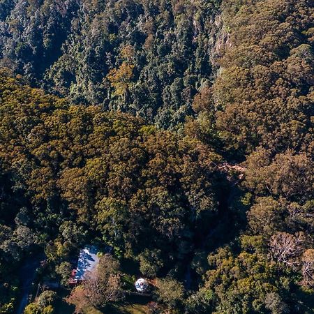 Purling Brook Falls Gwongorella Springbrook Exterior photo
