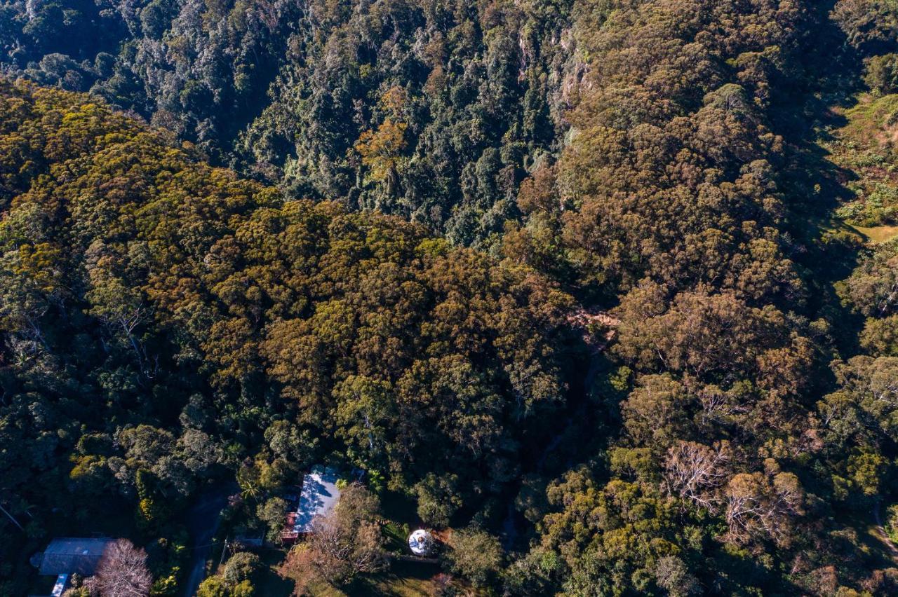 Purling Brook Falls Gwongorella Springbrook Exterior photo